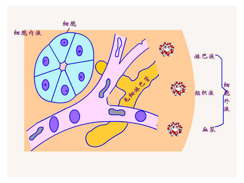 对比2.jpg