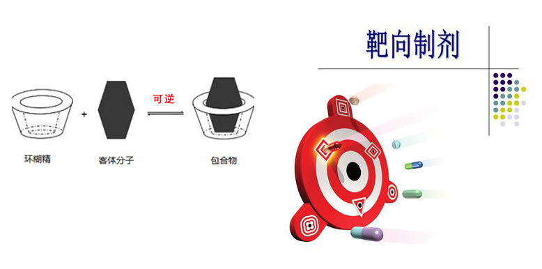 制剂靶向.jpg