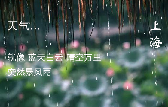 上海天气.jpg